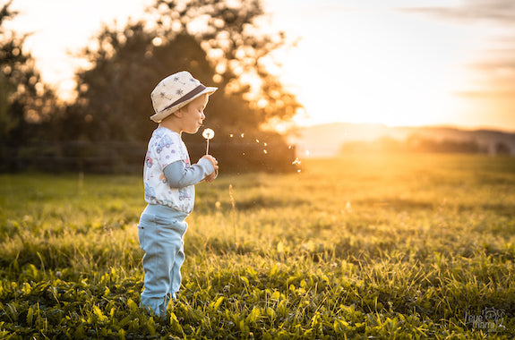 Die Trucks sind los!