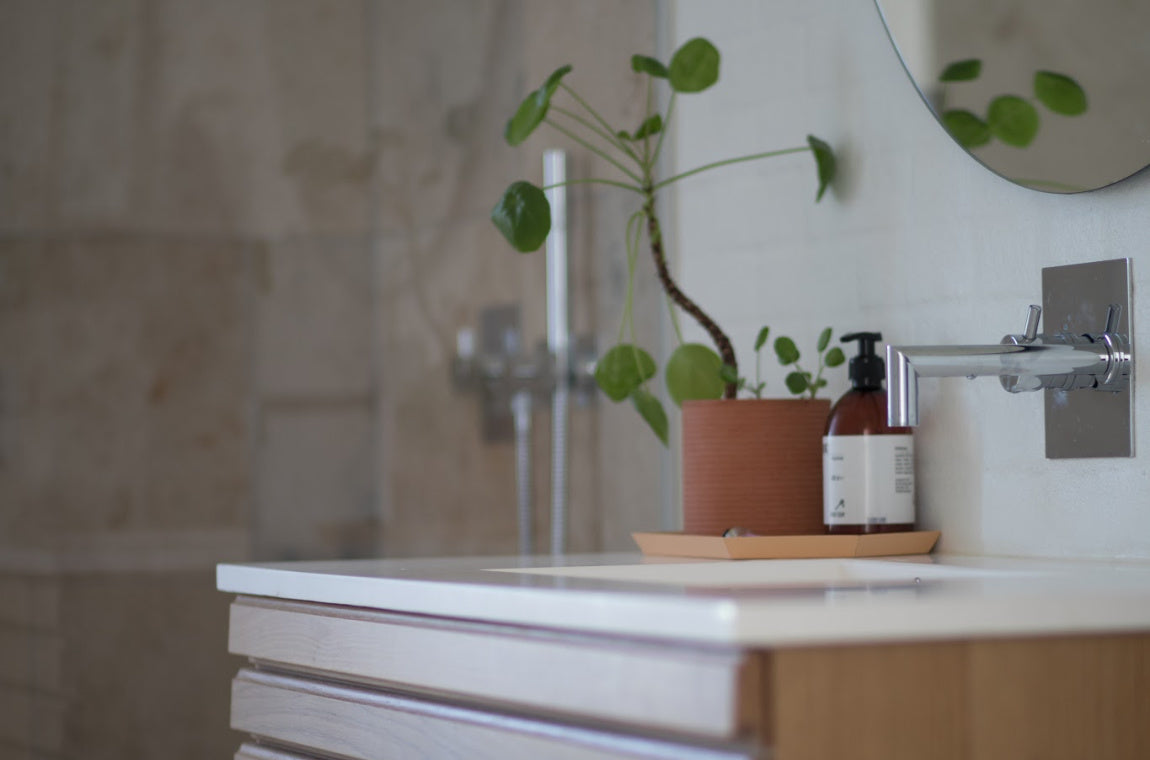 Badezimmer mit grüner Pflanze