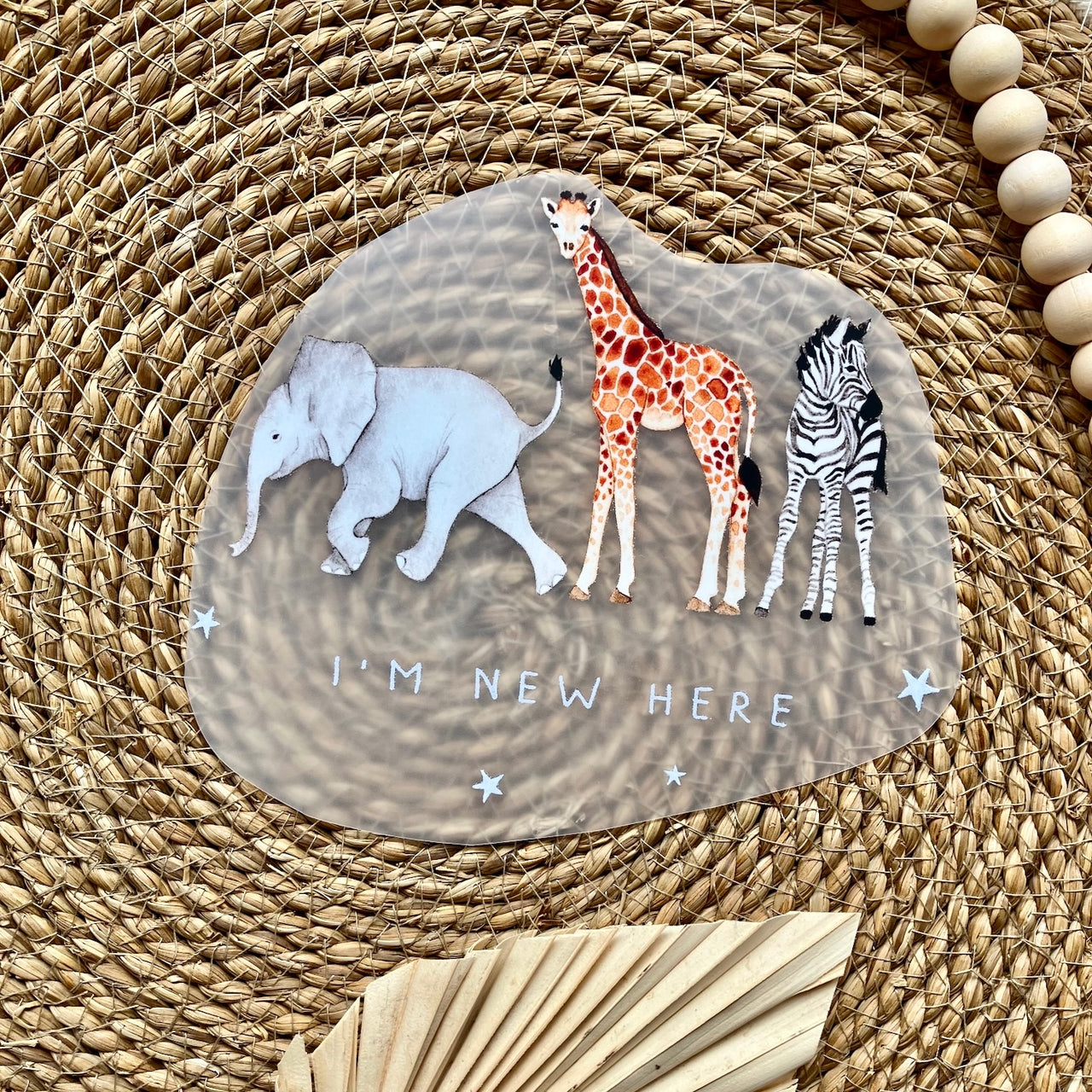 Terry biologico biologico Fairtrade Tutti i miei uccelli