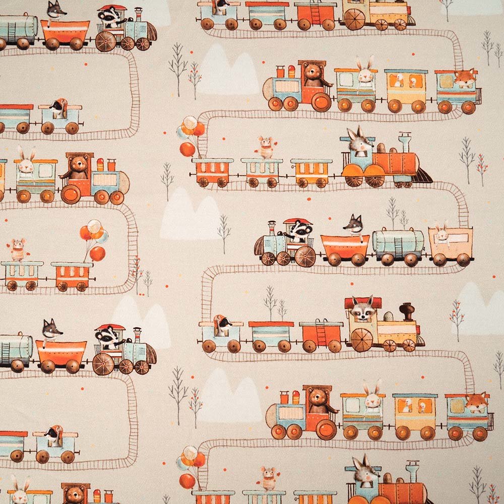 Fairtrade Biojersey Abenteuer auf Gleisen (GOTS)