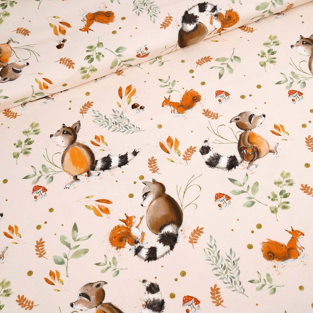 Fairtrade Biojersey "Fridolin und seine Freunde" (GOTS)