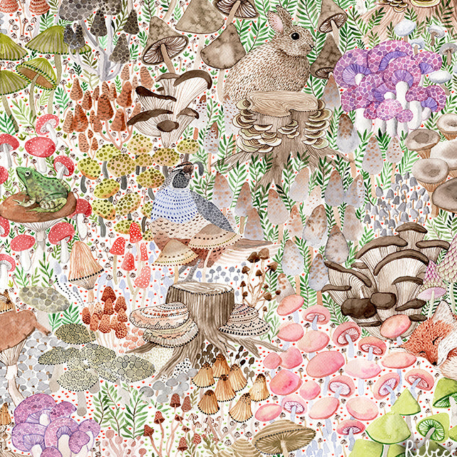 Jardin de champignons bio équitable Jersey