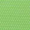 Fairtrade Biojersey Kuller Kiwi