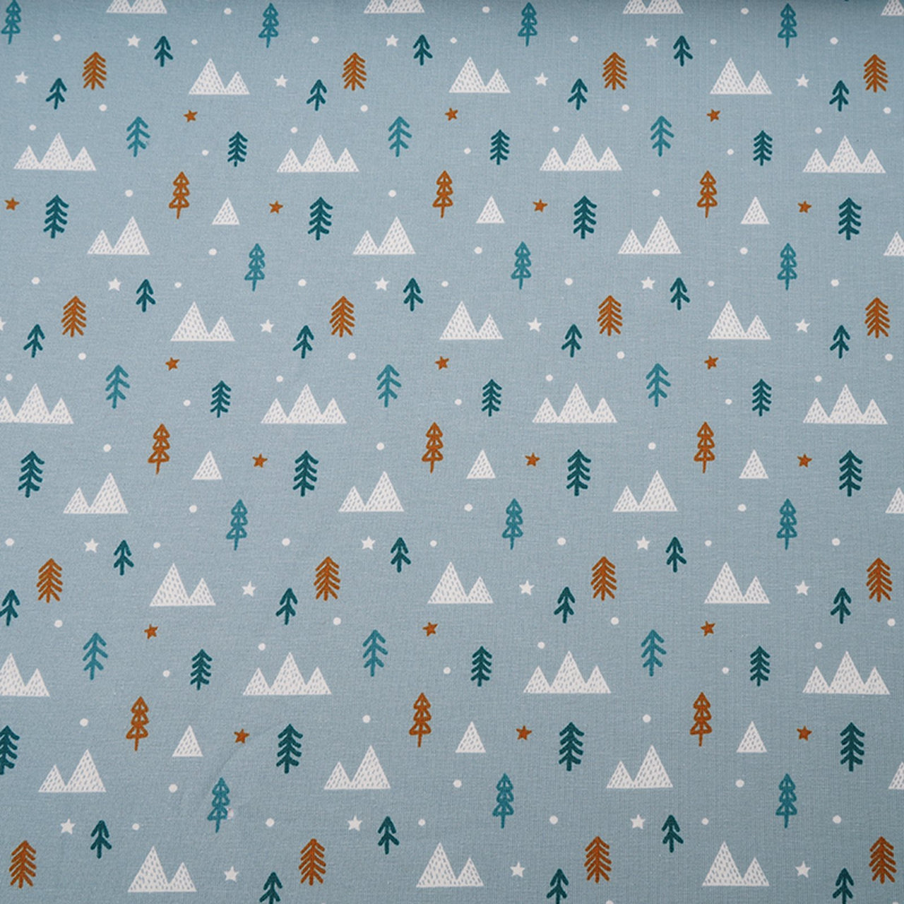 Fairtrade Biojersey Winterwald blau