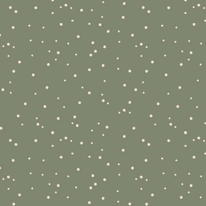 Jersey bio équitable à pois verts