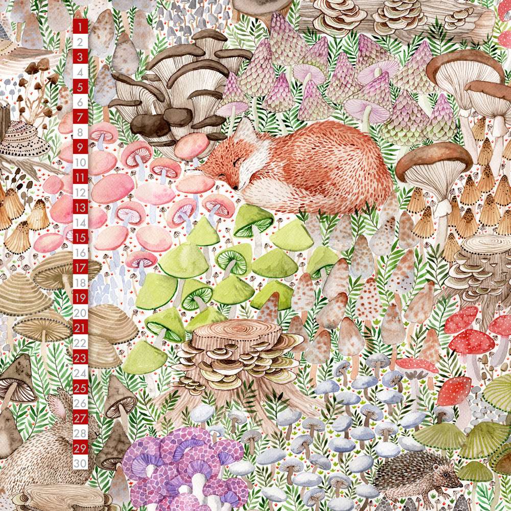 Jardin de champignons bio équitable Jersey